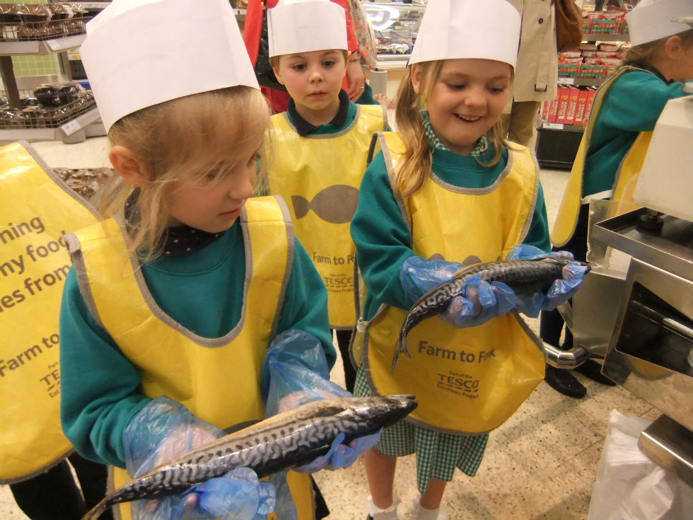 Mrs Thornton\'s Tesco Trip