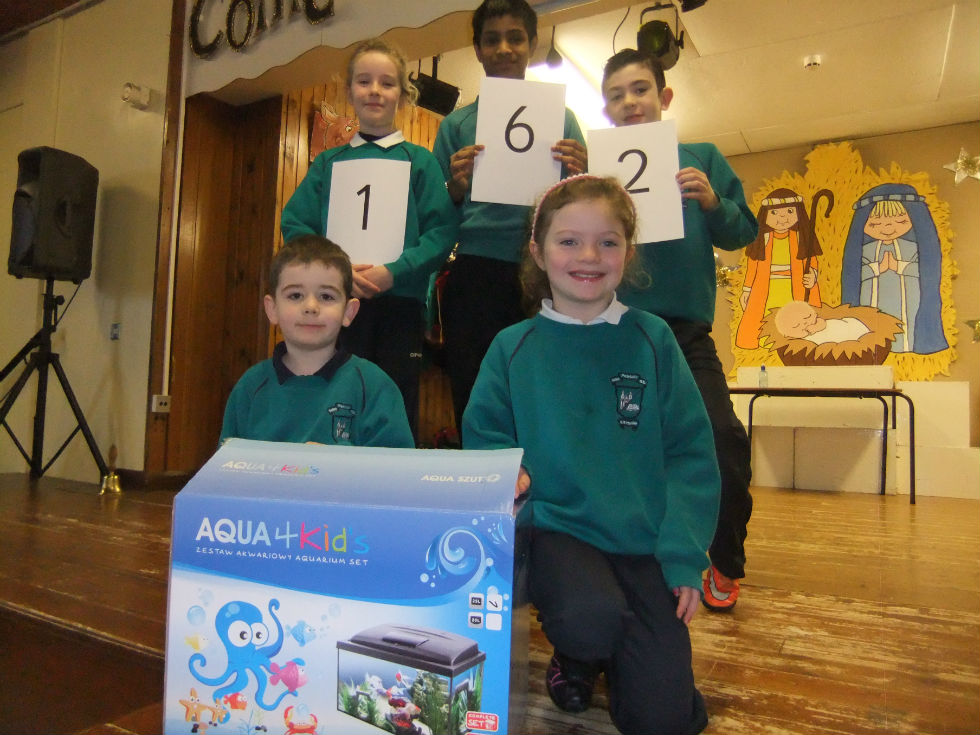 Guess the Number of Fish!!