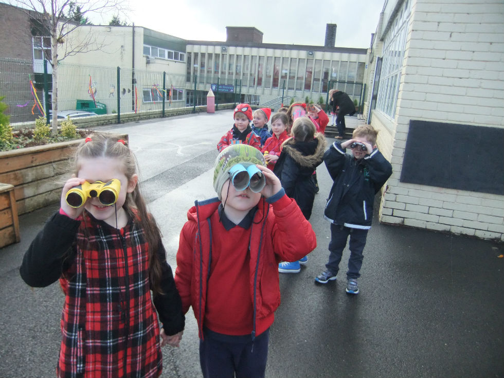 RSPB Big Schools Bird Watch