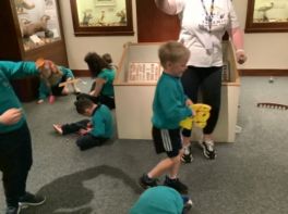 P2 Armagh County Museum 