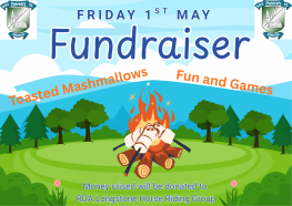 Firepit Fundraiser