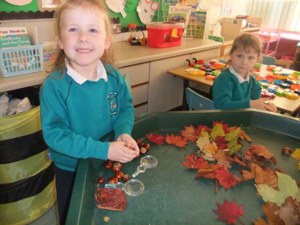 Investigating Autumn